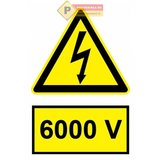 Indicator 6000 v